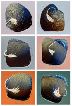THE LAST EGG