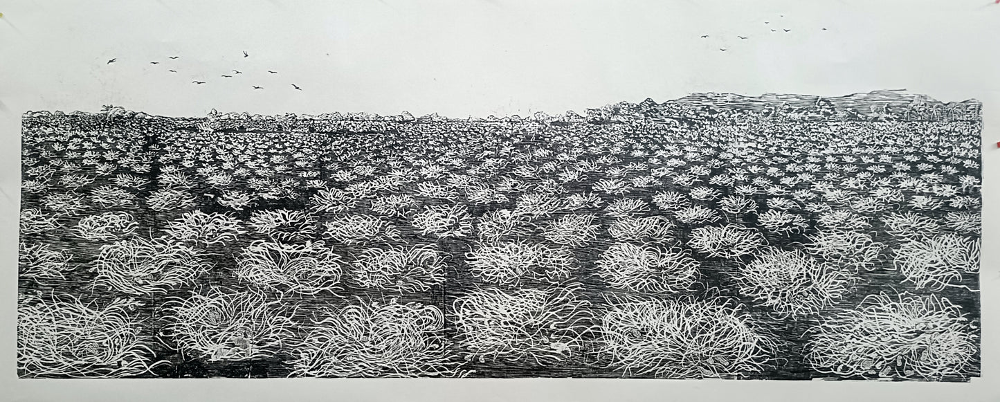 Peanut refuge I