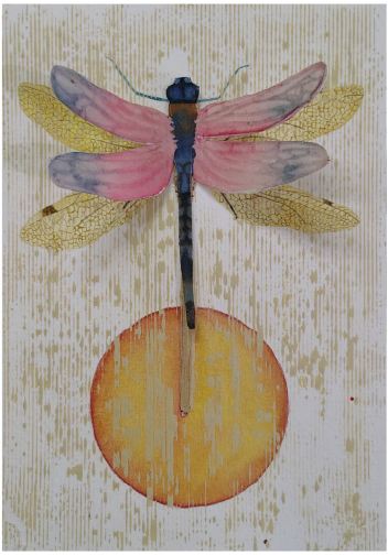PINK DRAGONFLY