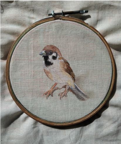 SPARROW