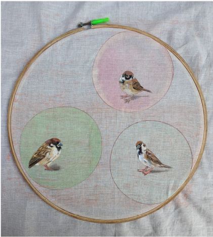 GROUP OF SPARROWS