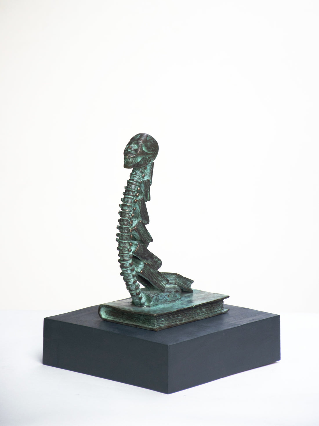 Education as a backbone