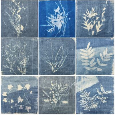 IMPRINTS