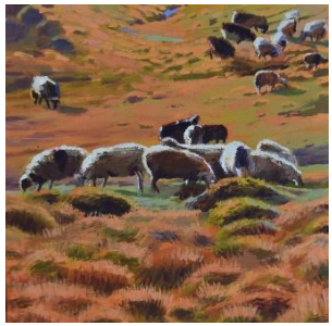 Grasslands I