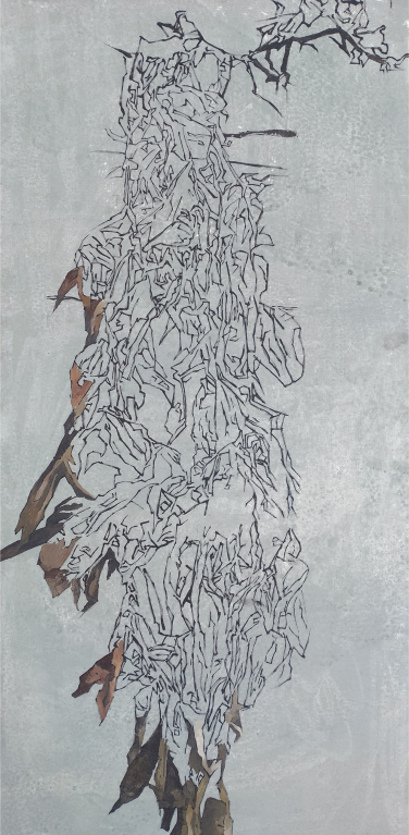 Transfiguration