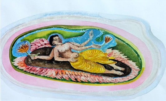The Vishnu-I
