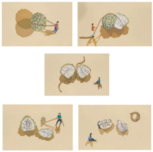 Custard apple (सीताफल)