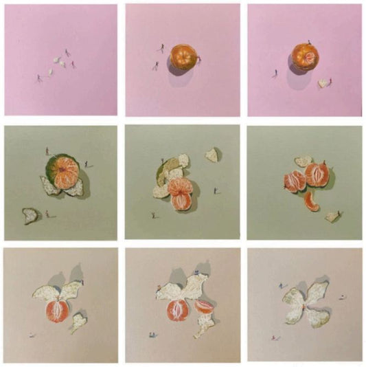 Orange (संतरा)