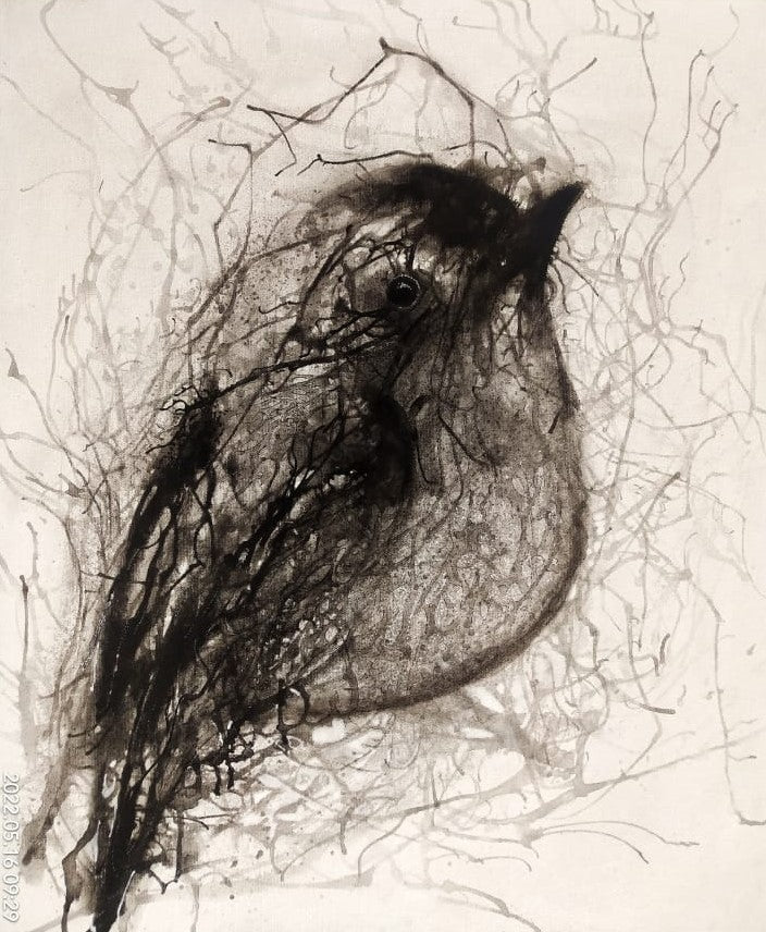 Bird portrait - 1