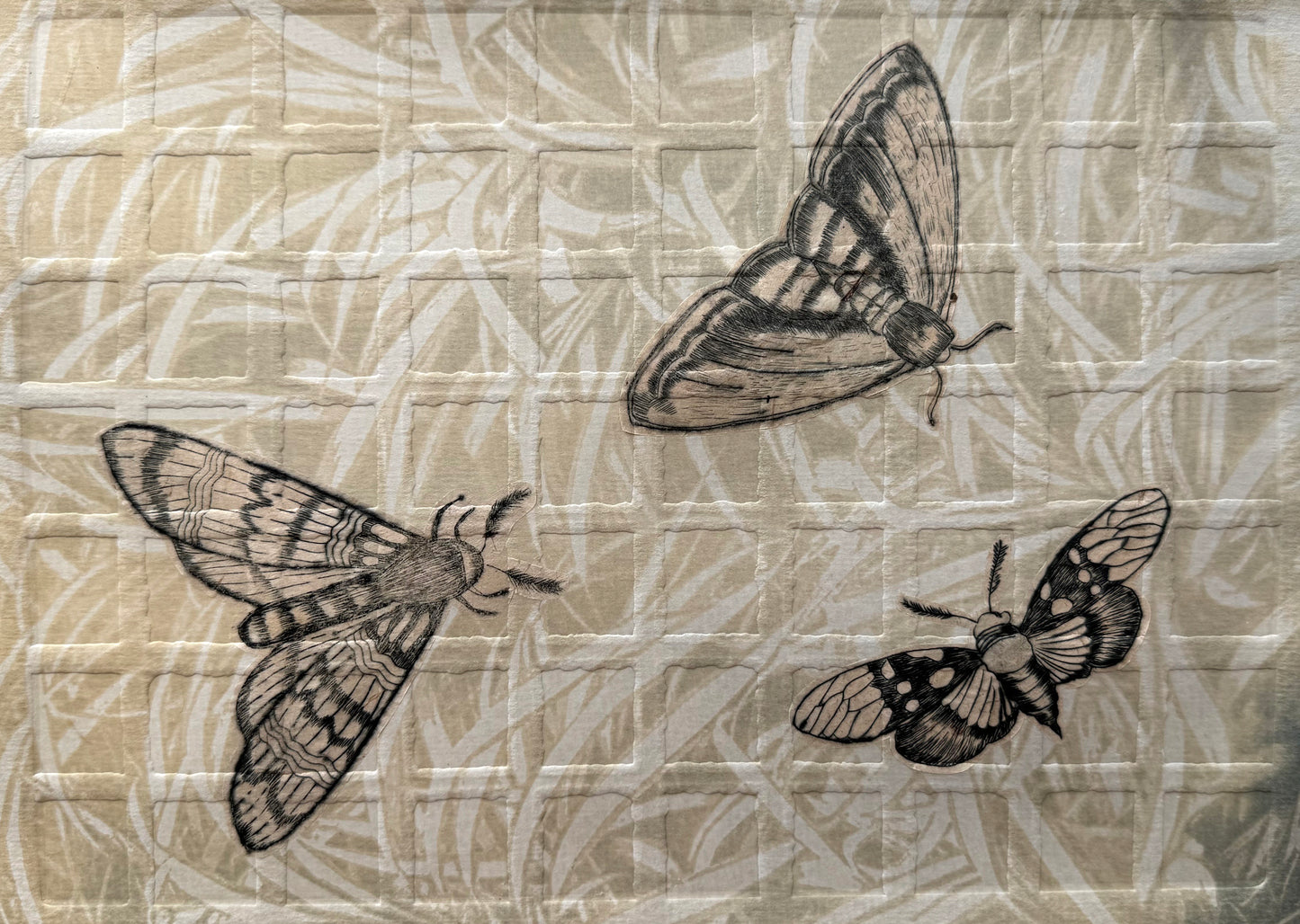 Gentle Persistence III Series (Set of 10)