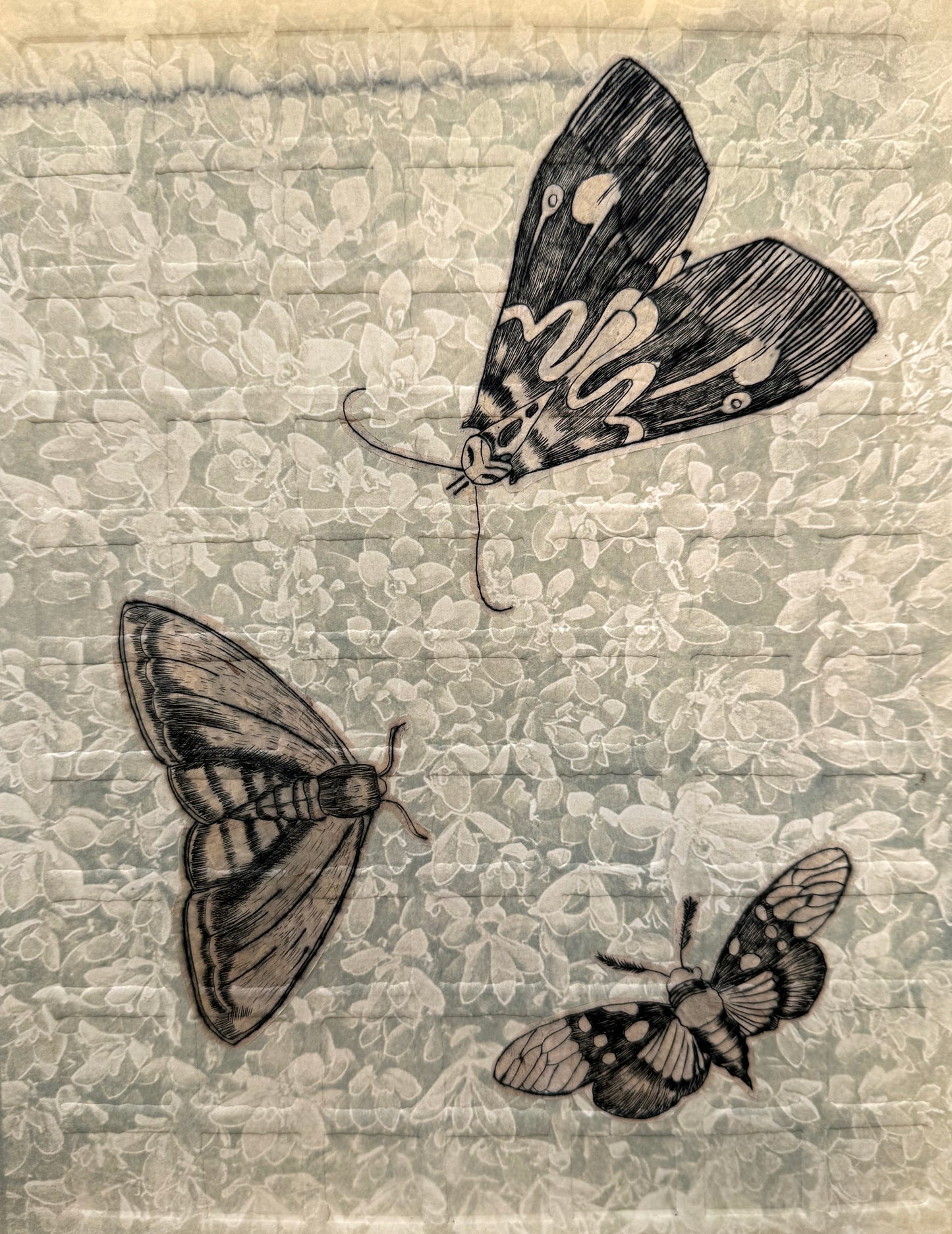 Gentle Persistence III Series (Set of 10)