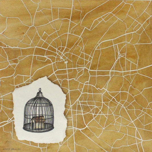 Urban Cage