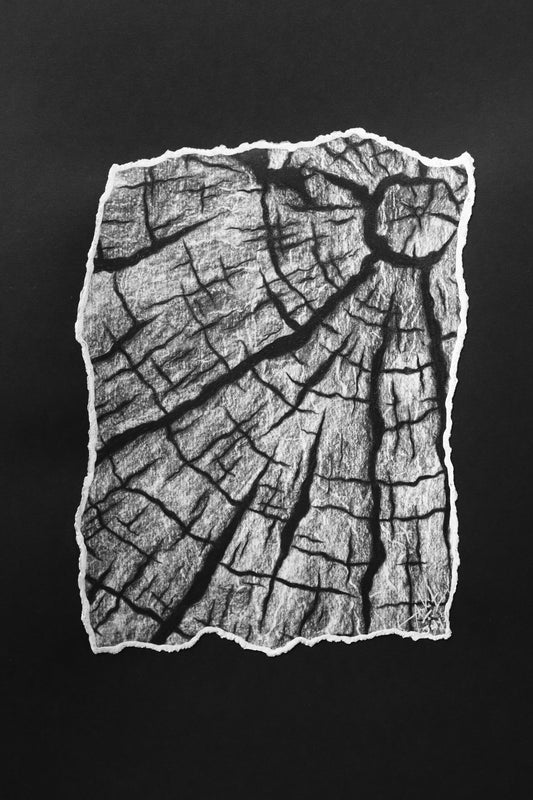 Wood Bark I
