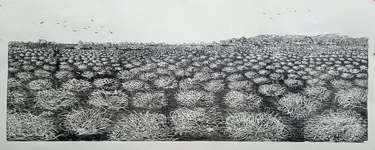 Peanut refuge I