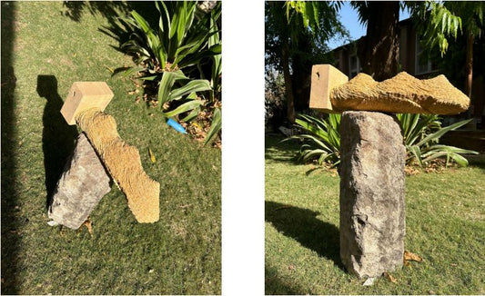 Tea Garden: Assam’s Essence