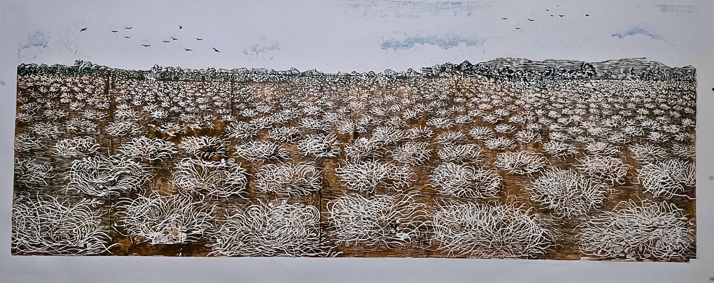 Peanut refuge II