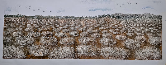 Peanut refuge II